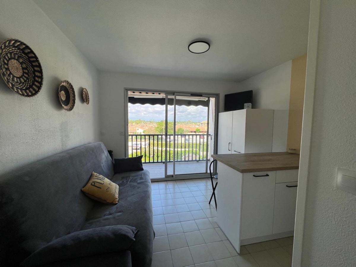 Studio 4 Couchages,Piscine,Plage Saint-Cyprien Kültér fotó